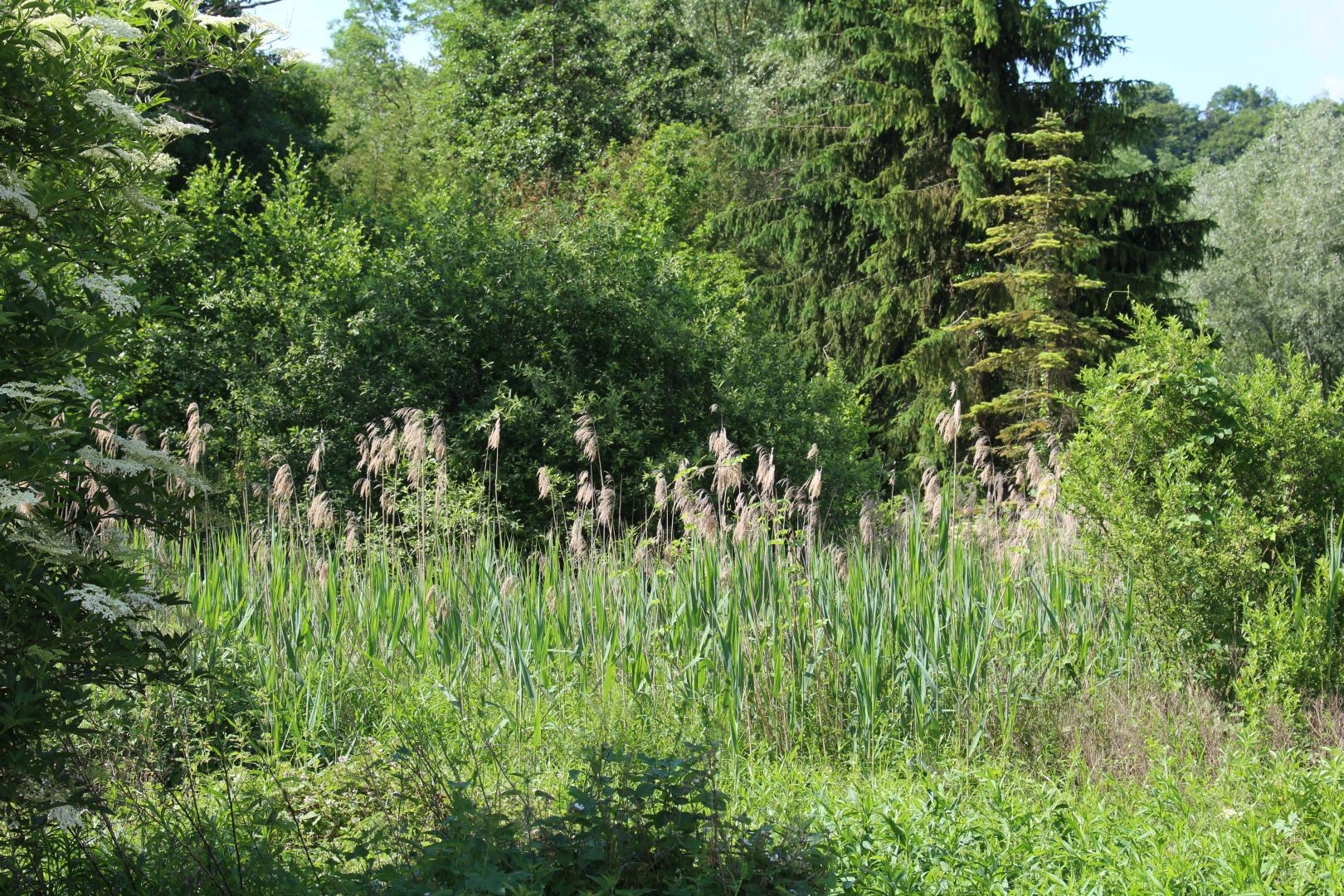 Vente Terrain à Soissons 0 pièce