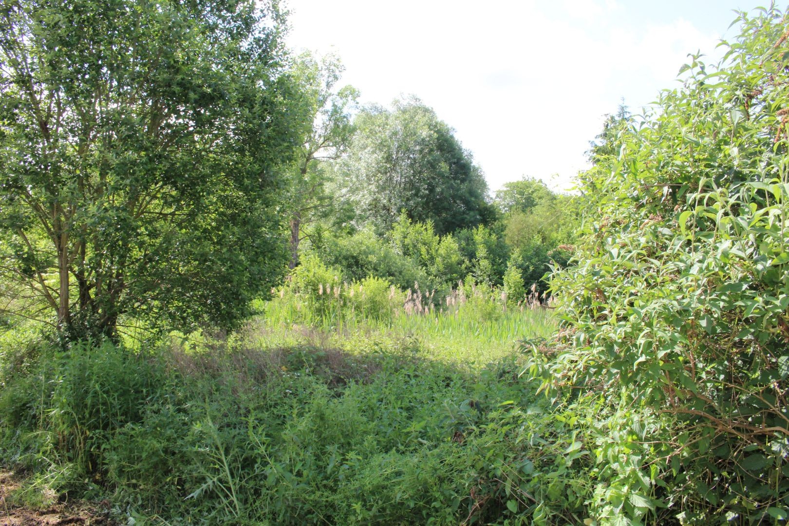 Vente Terrain à Soissons 0 pièce