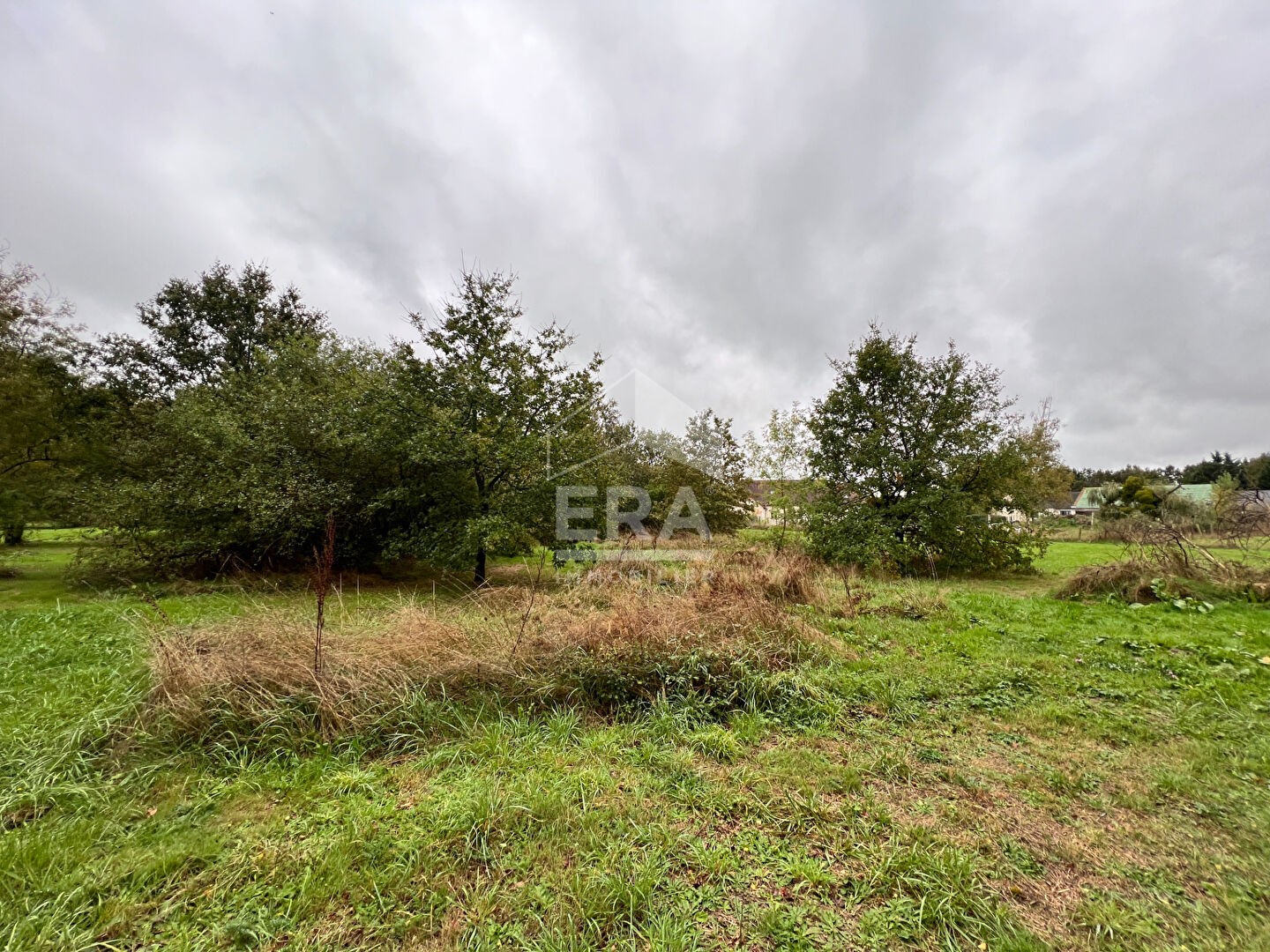 Vente Terrain à Romorantin-Lanthenay 0 pièce