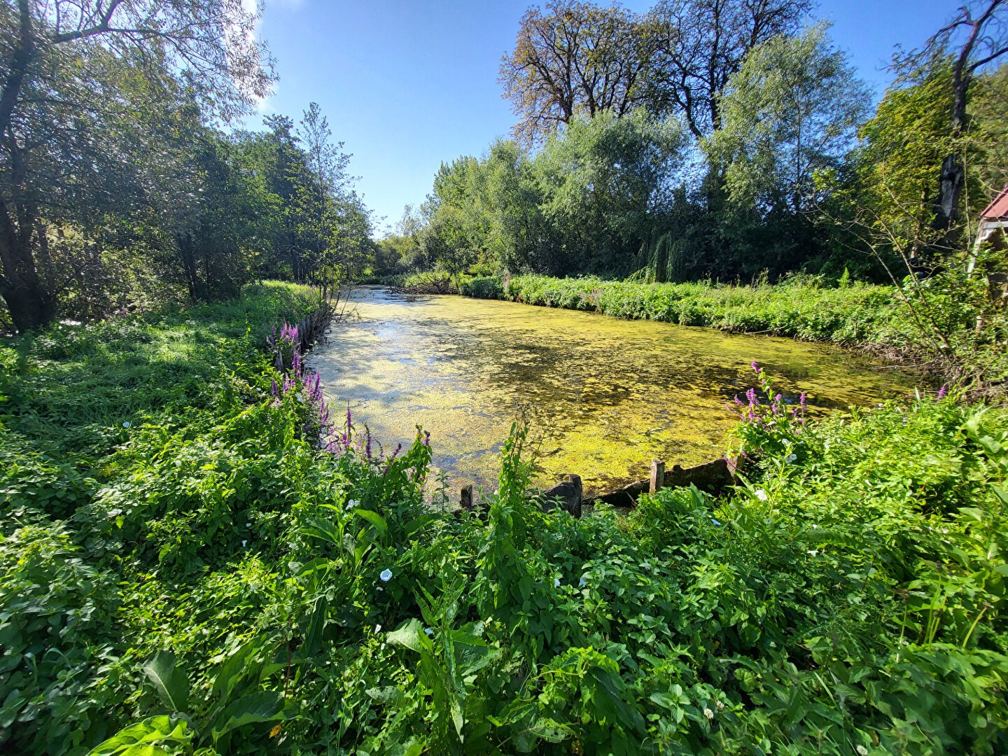 Vente Terrain à Attin 0 pièce