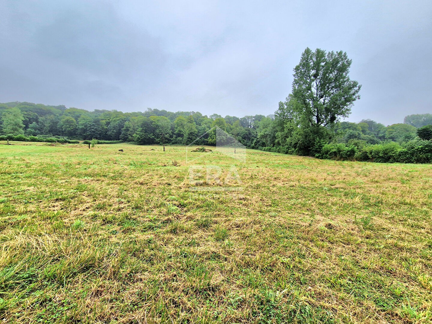 Vente Terrain à Montreuil 0 pièce