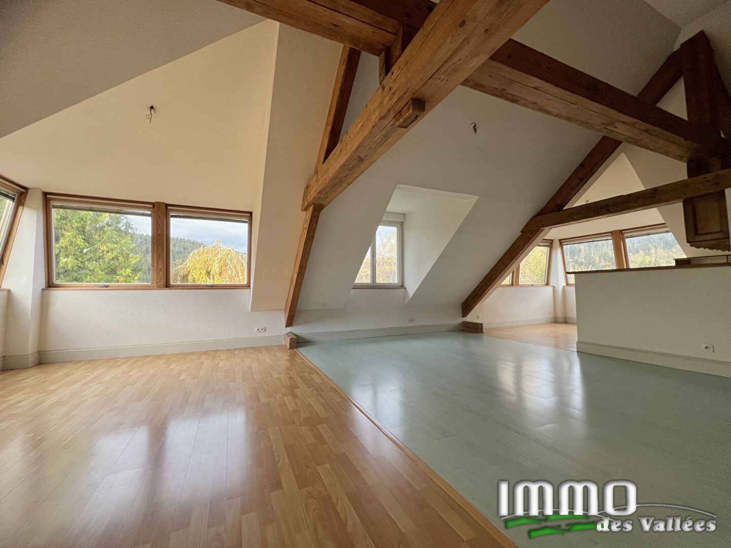 Vente Maison à Cornimont 19 pièces