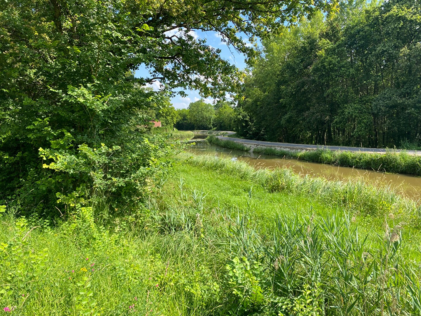 Vente Terrain à Gièvres 0 pièce