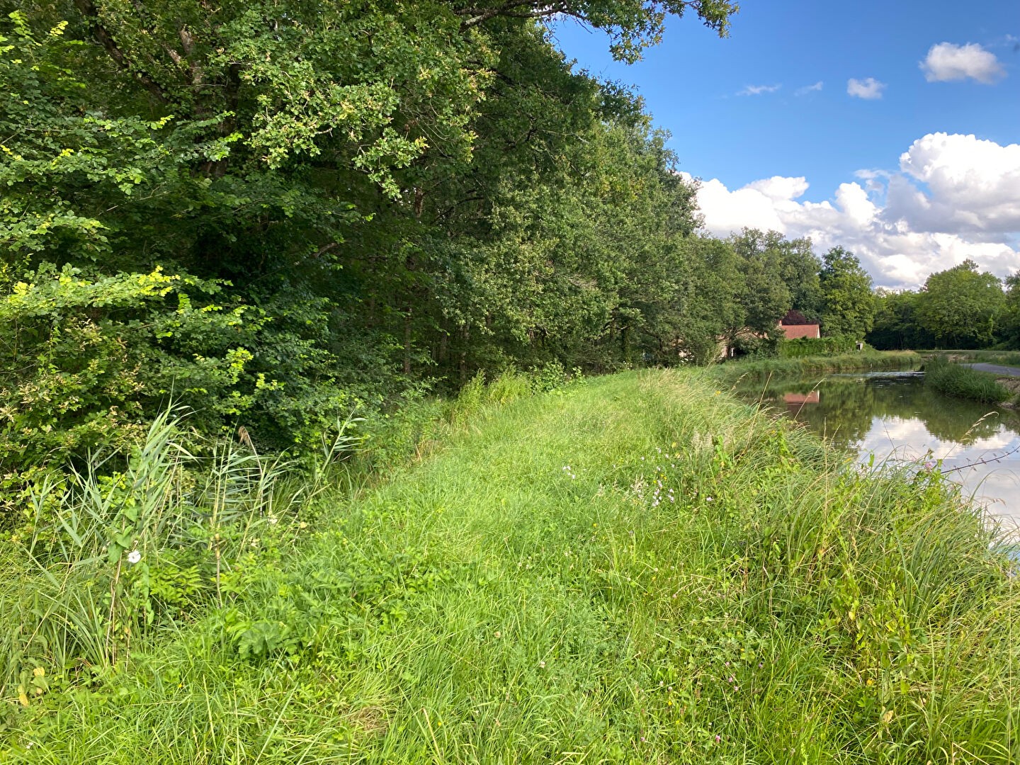 Vente Terrain à Gièvres 0 pièce