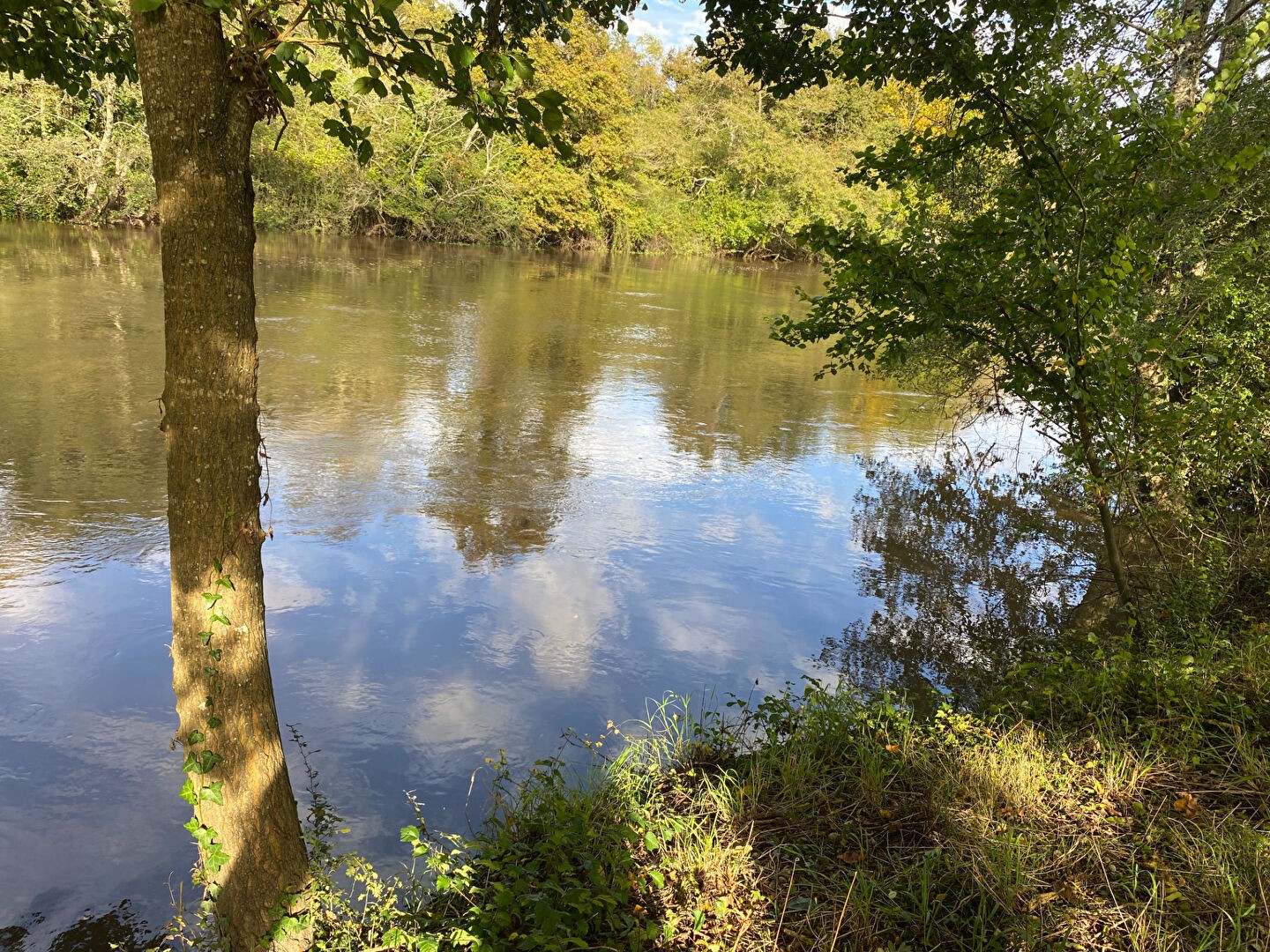 Vente Terrain à Selles-sur-Cher 0 pièce