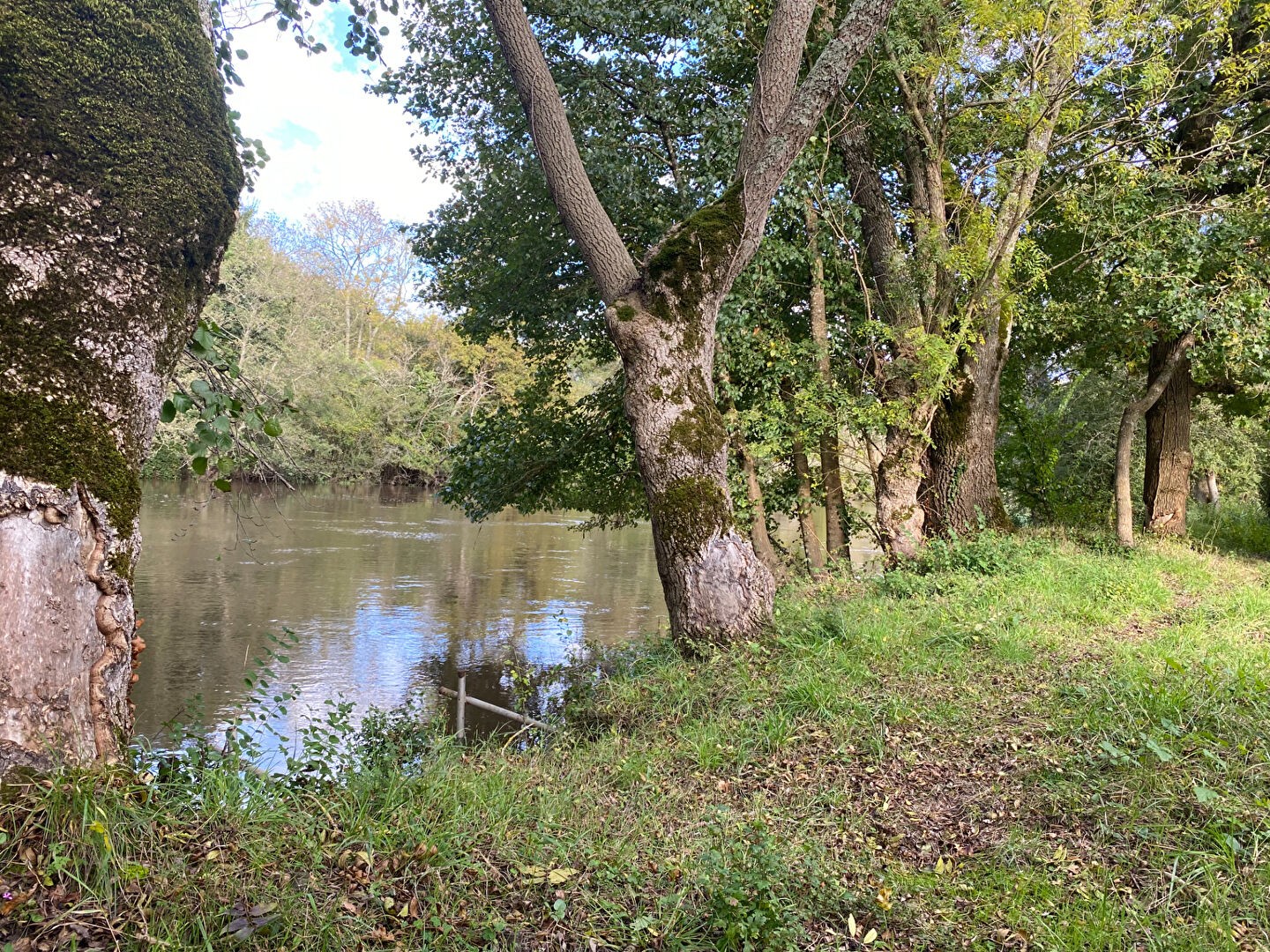 Vente Terrain à Selles-sur-Cher 0 pièce