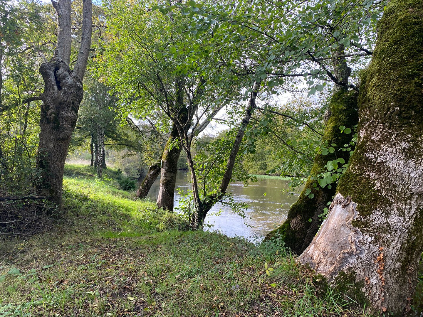 Vente Terrain à Selles-sur-Cher 0 pièce