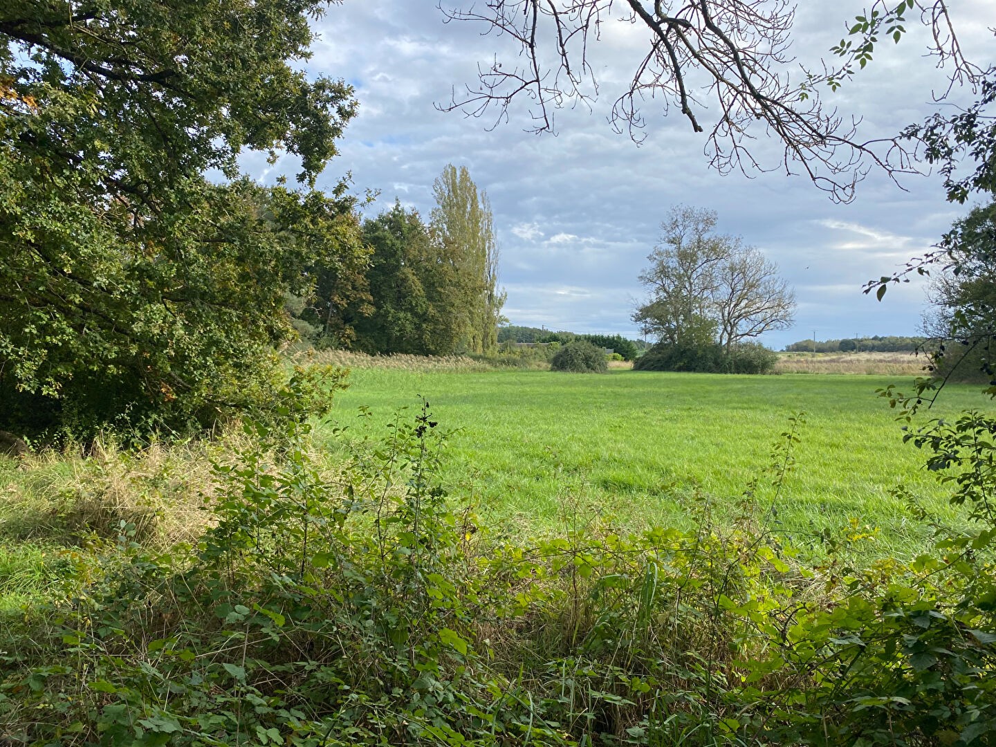 Vente Terrain à Selles-sur-Cher 0 pièce