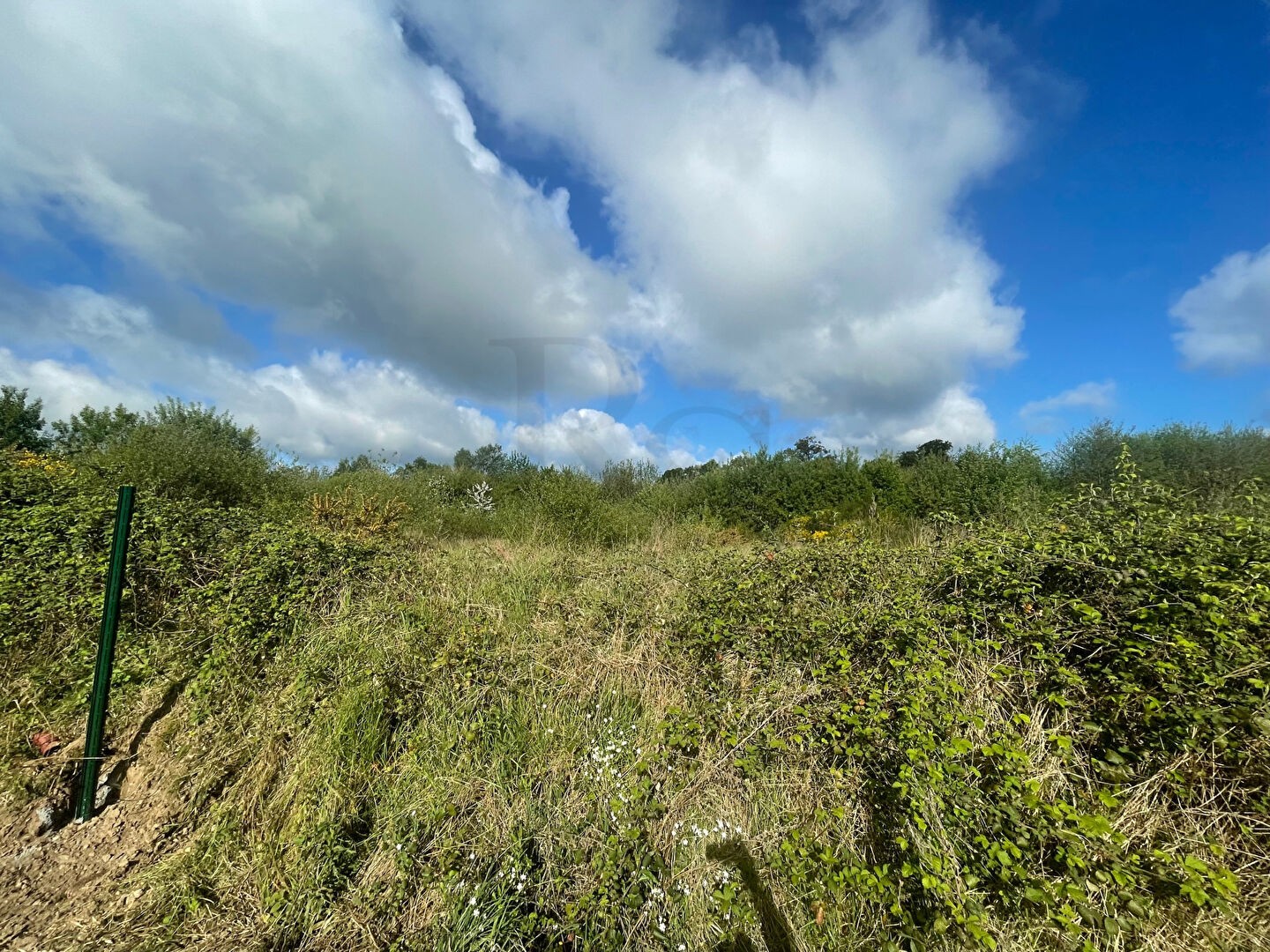 Vente Terrain à Aubusson 0 pièce