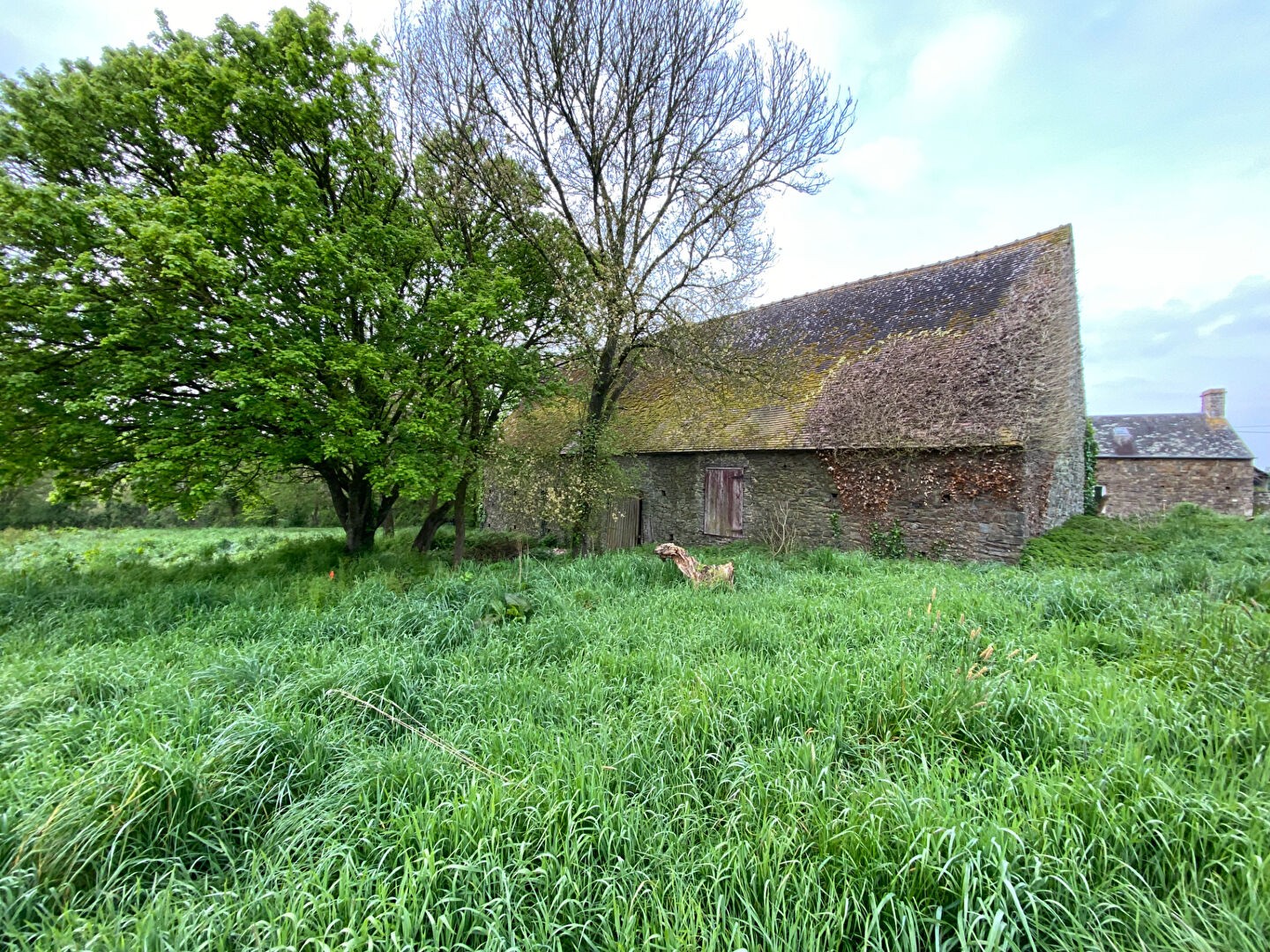 Vente Maison à Falaise 1 pièce