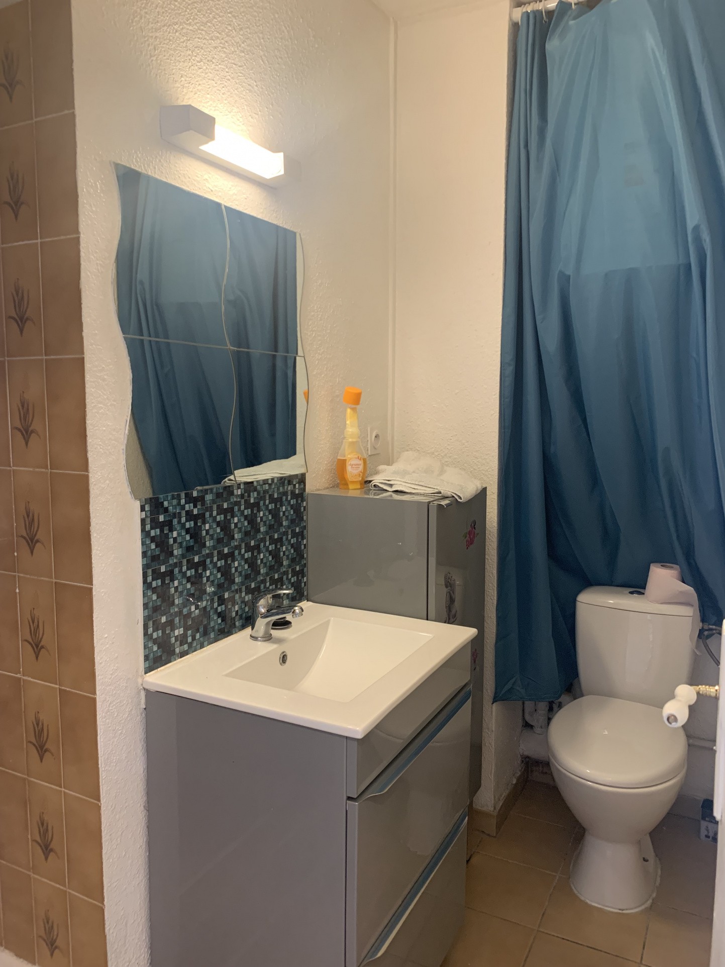 Vente Appartement à Canet-en-Roussillon 2 pièces