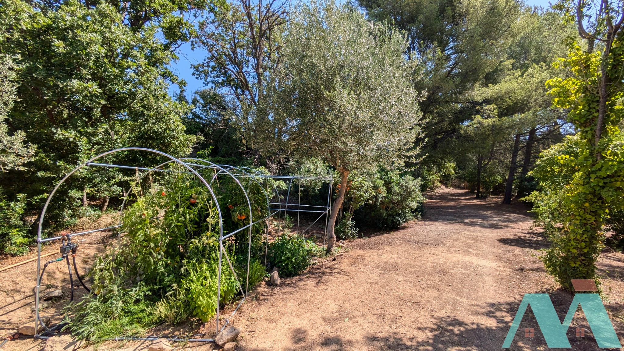 Vente Maison à le Castellet 6 pièces