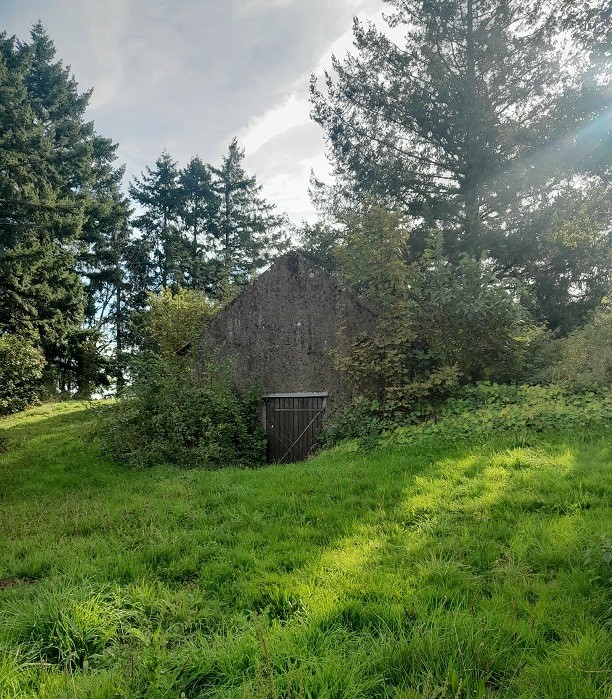 Vente Maison à Mary 3 pièces