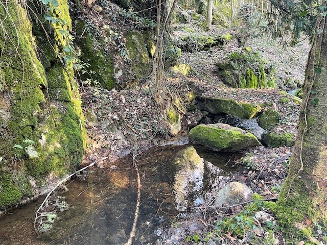 Vente Maison à Roanne 10 pièces