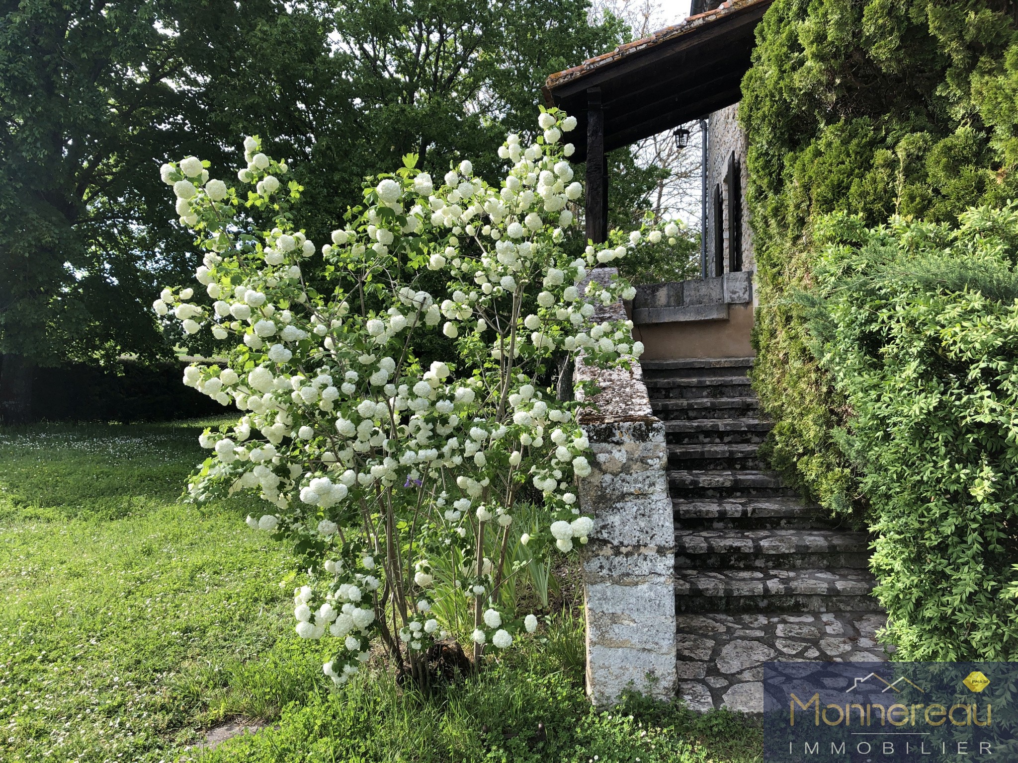 Vente Maison à Aubeterre-sur-Dronne 12 pièces