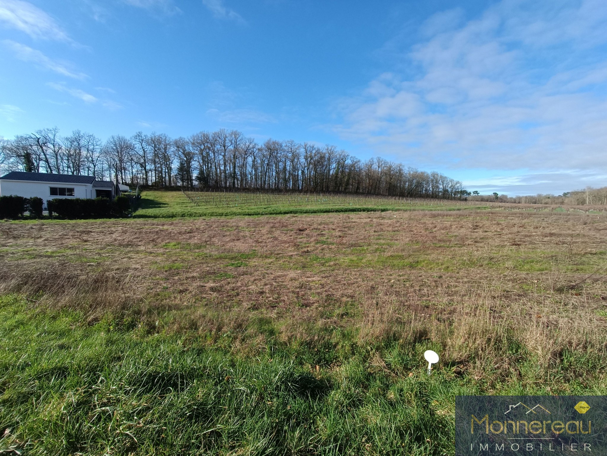 Vente Terrain à Saint-Maigrin 0 pièce