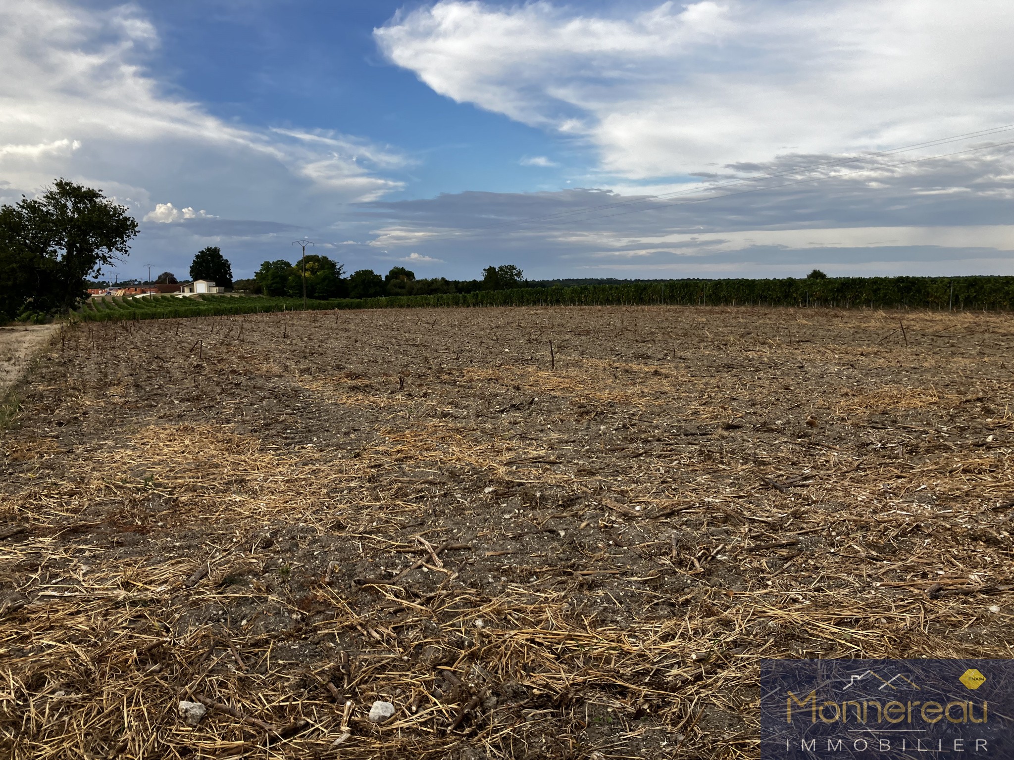 Vente Terrain à Saint-Maigrin 0 pièce