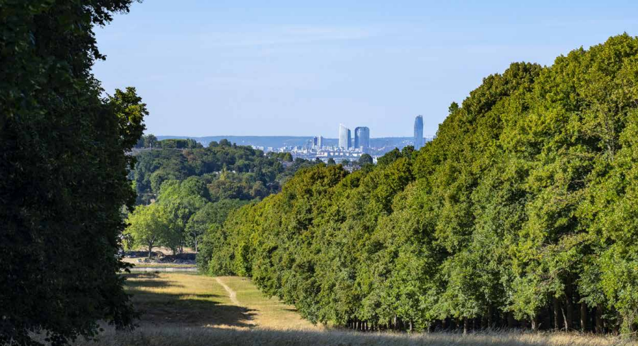 Vente Appartement à Lyon 6e arrondissement 2 pièces