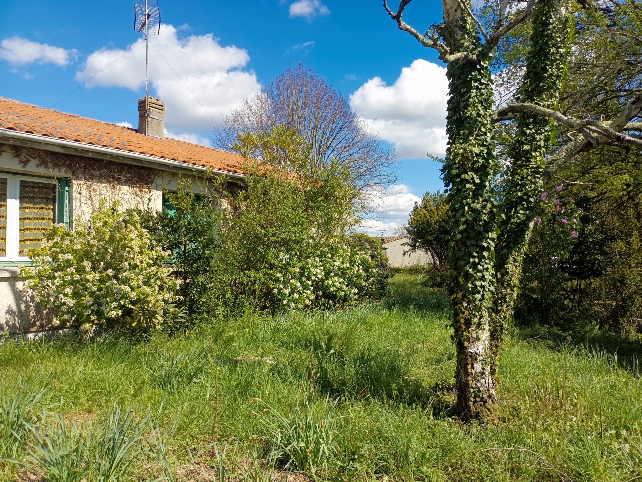 Vente Maison à Pont-l'Abbé-d'Arnoult 4 pièces