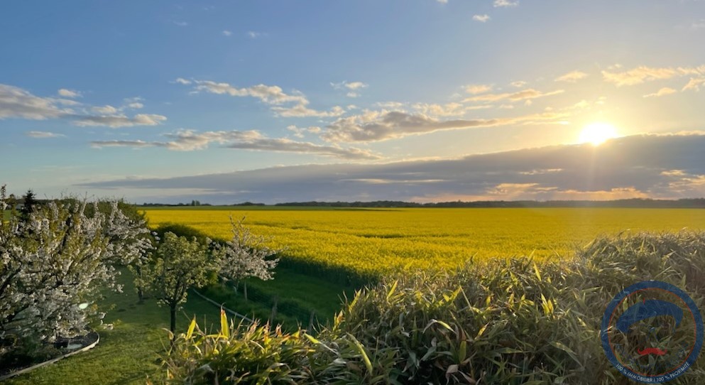 Vente Maison à Tauxigny 16 pièces