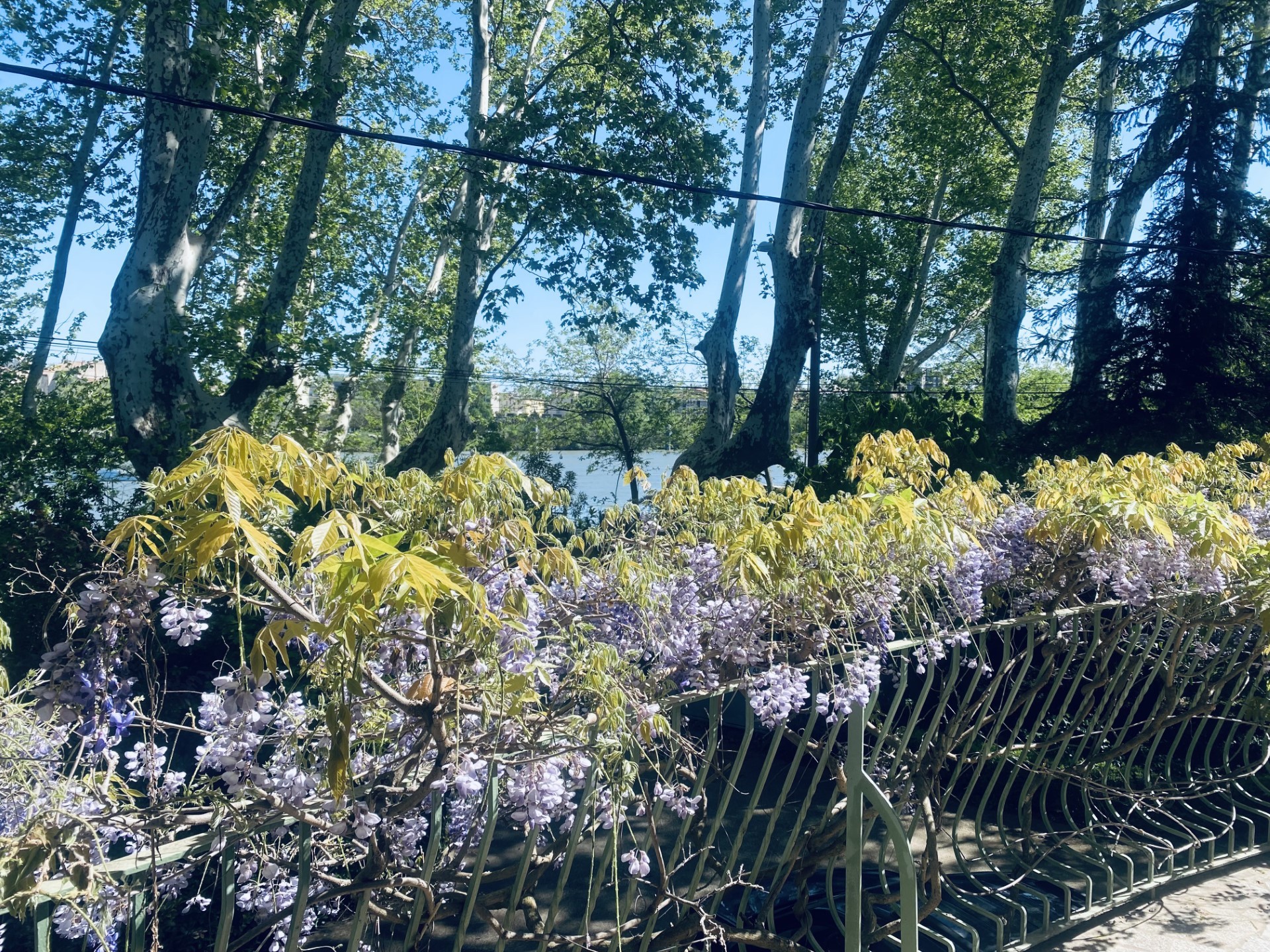 Vente Maison à Avignon 9 pièces