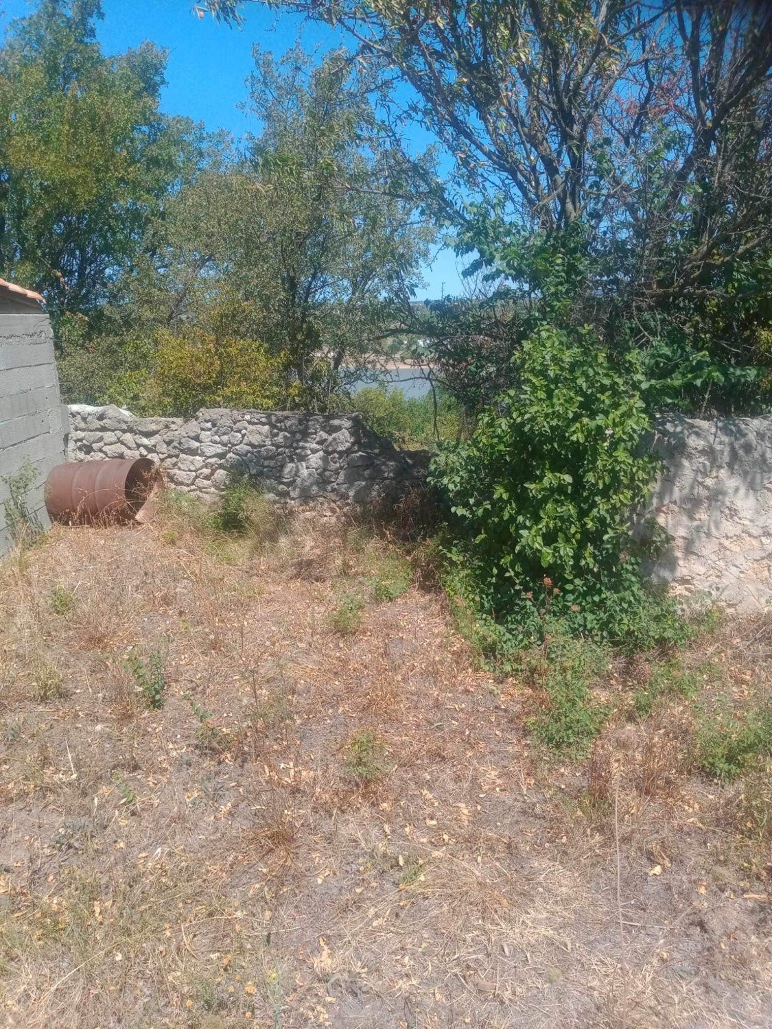 Vente Terrain à Mèze 0 pièce