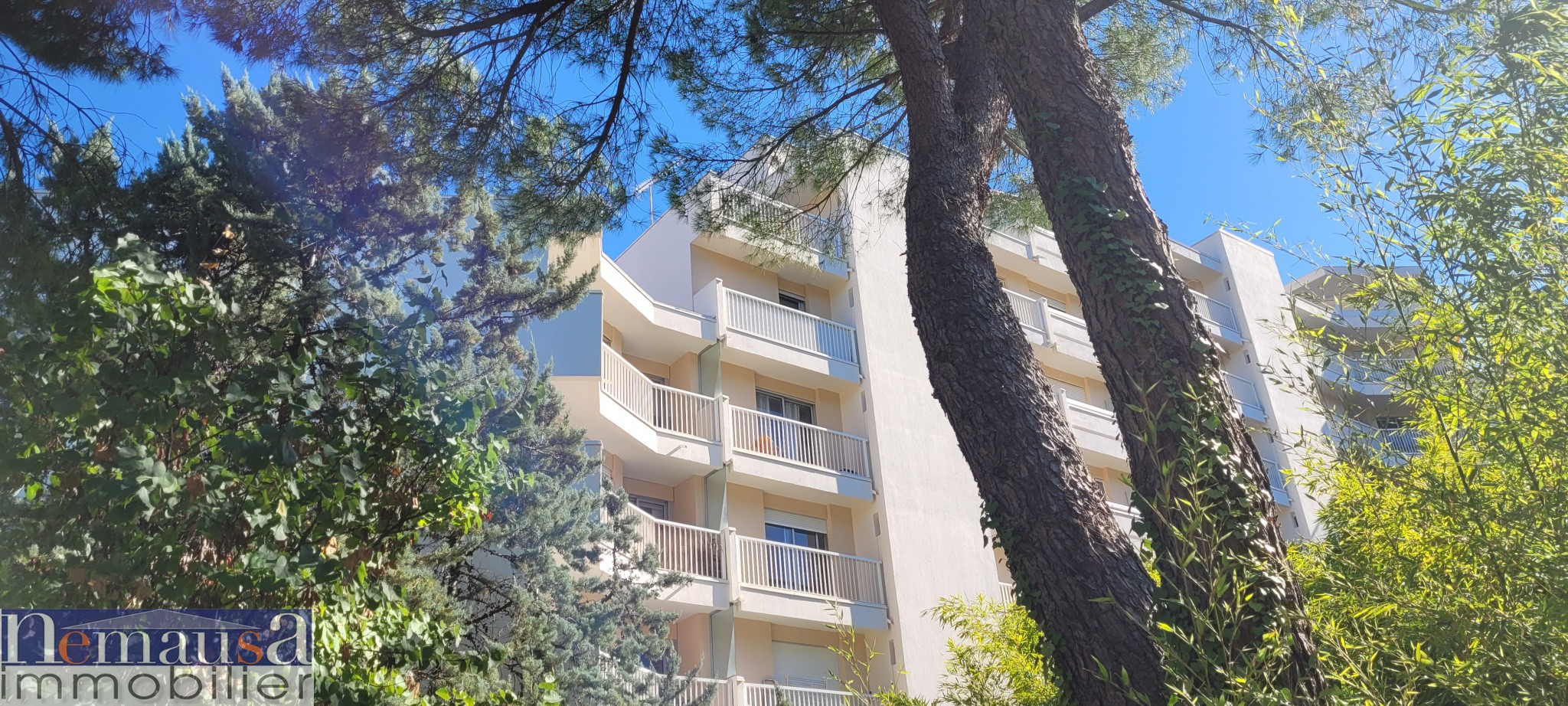 Vente Appartement à Montpellier 3 pièces