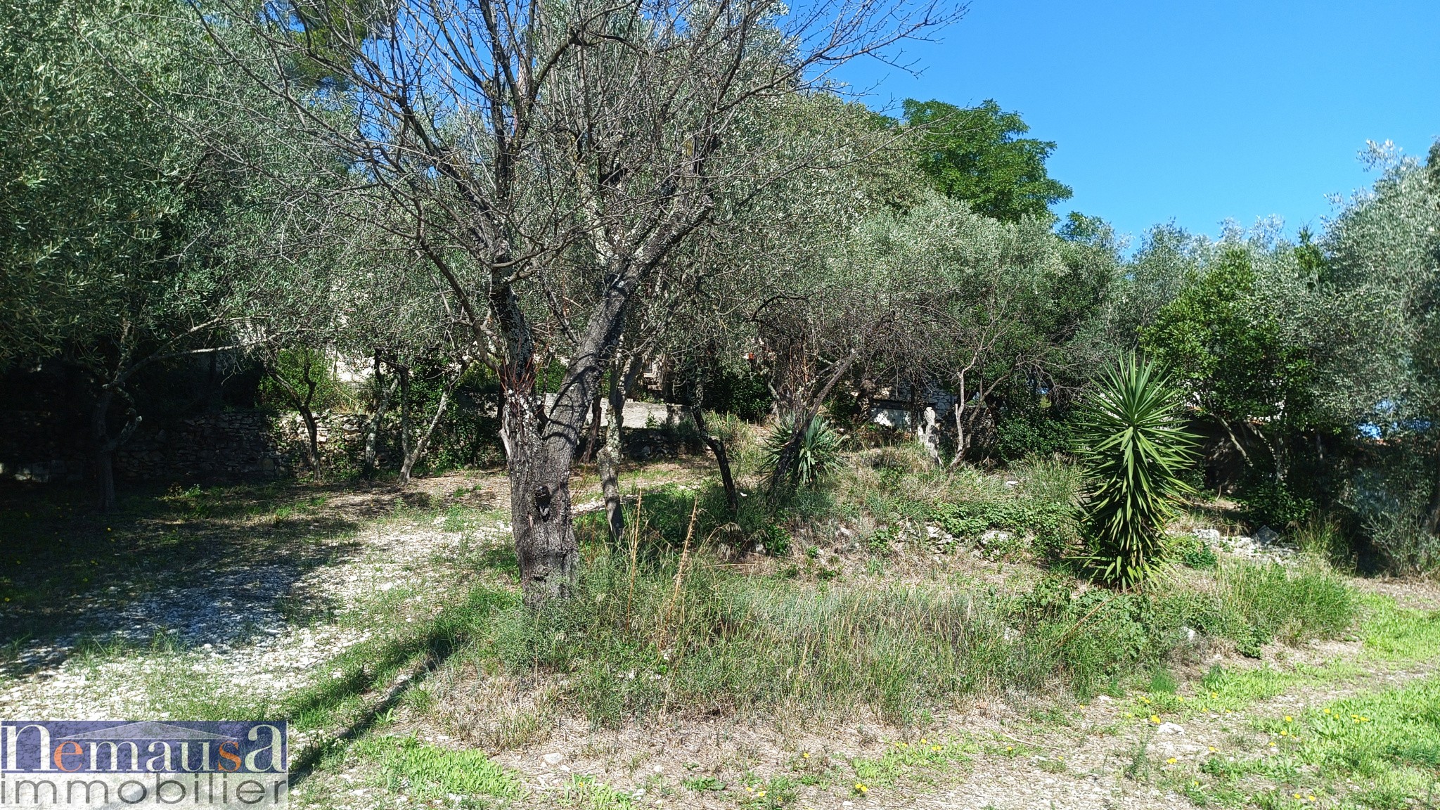 Vente Maison à Nîmes 6 pièces