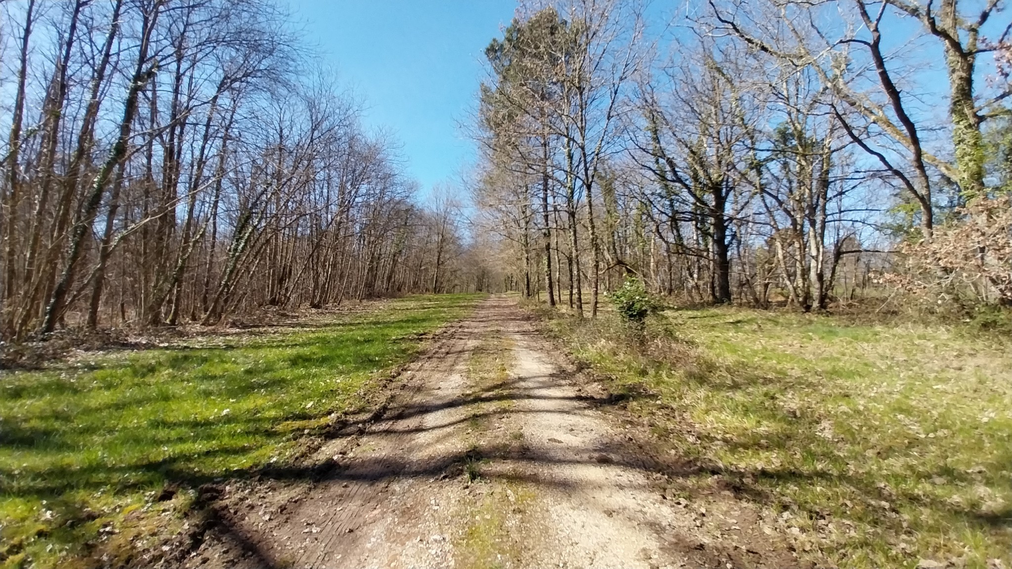 Vente Maison à Chalagnac 7 pièces