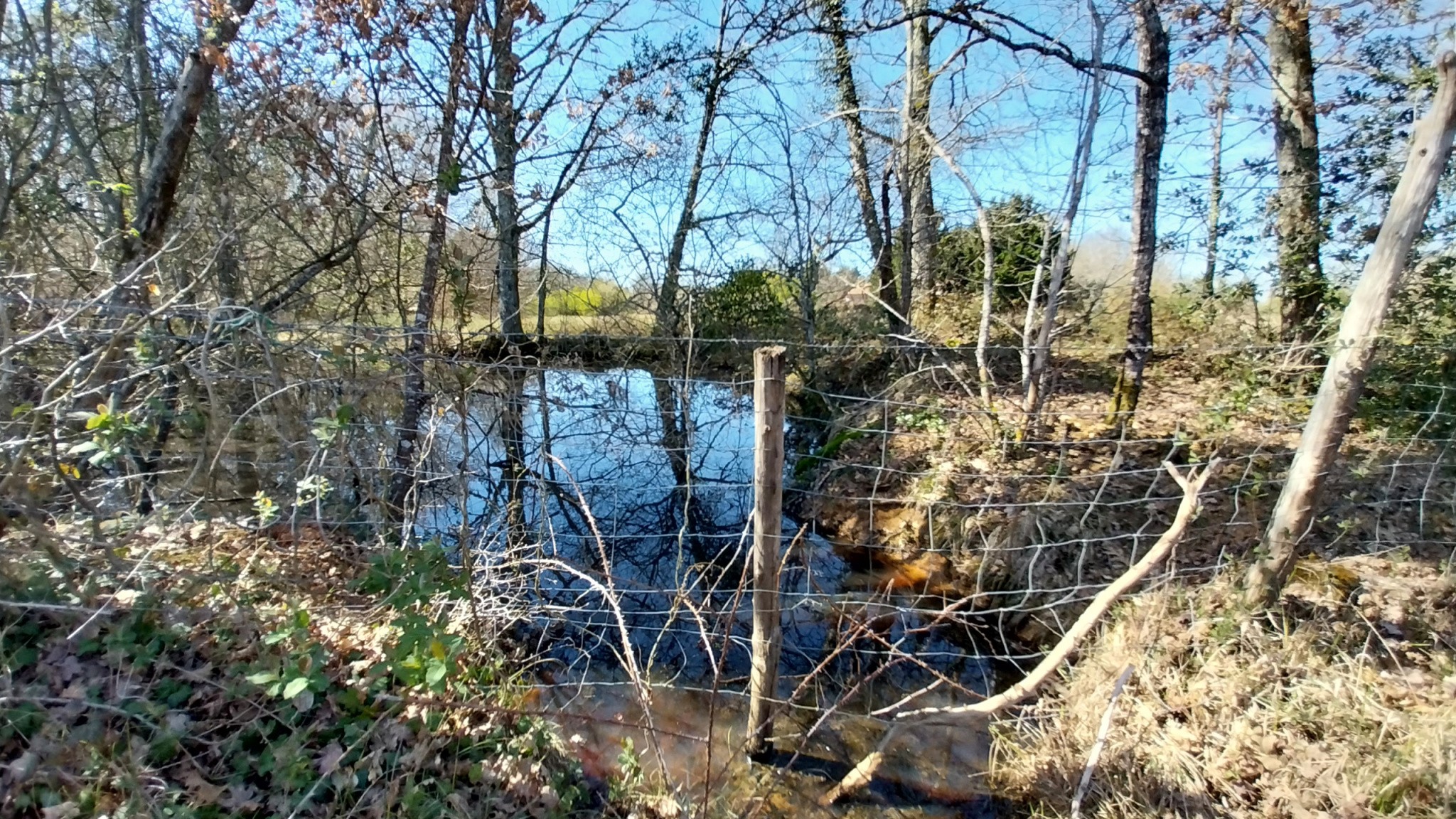 Vente Maison à Chalagnac 7 pièces