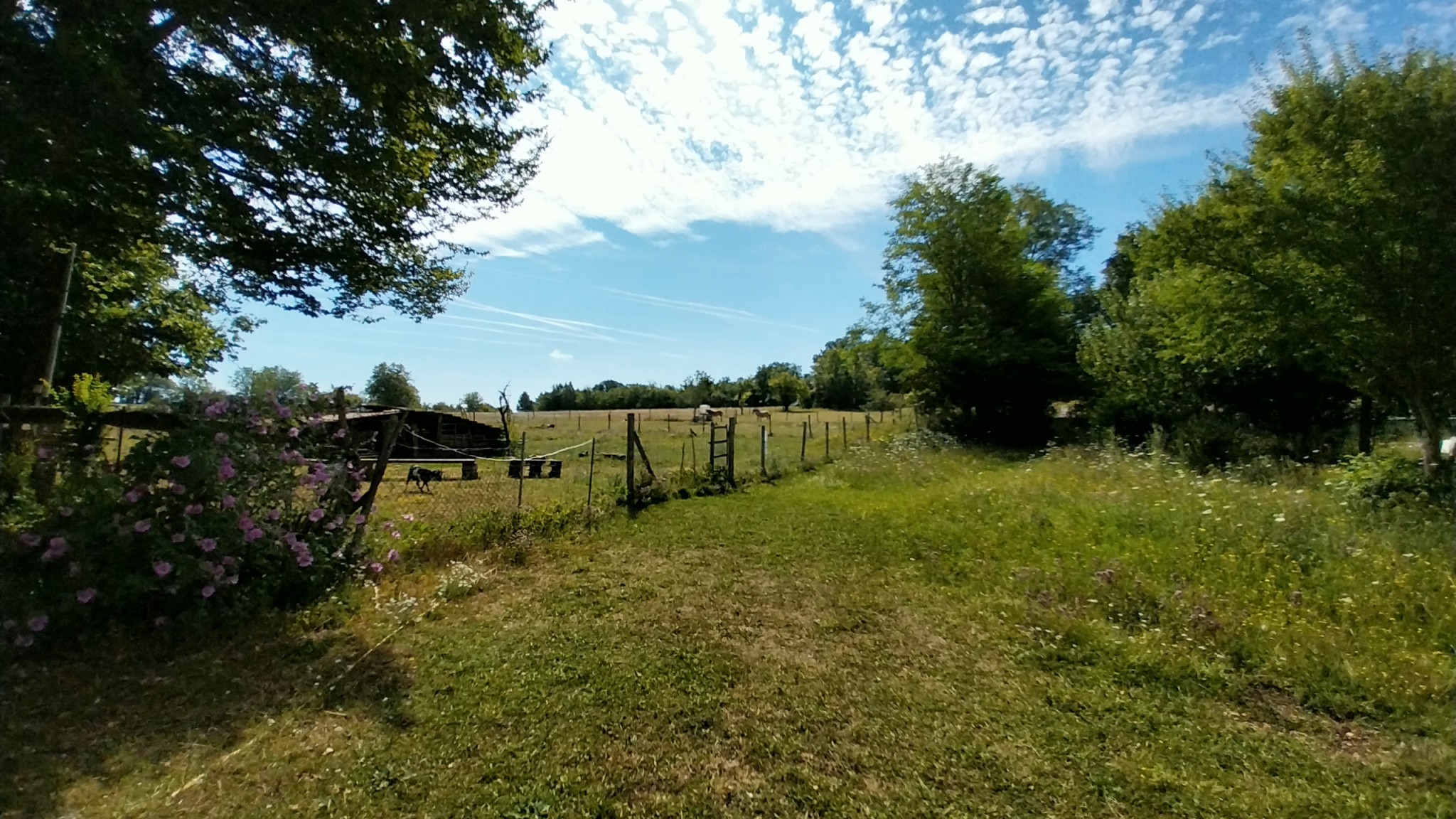 Vente Maison à Brantôme 10 pièces