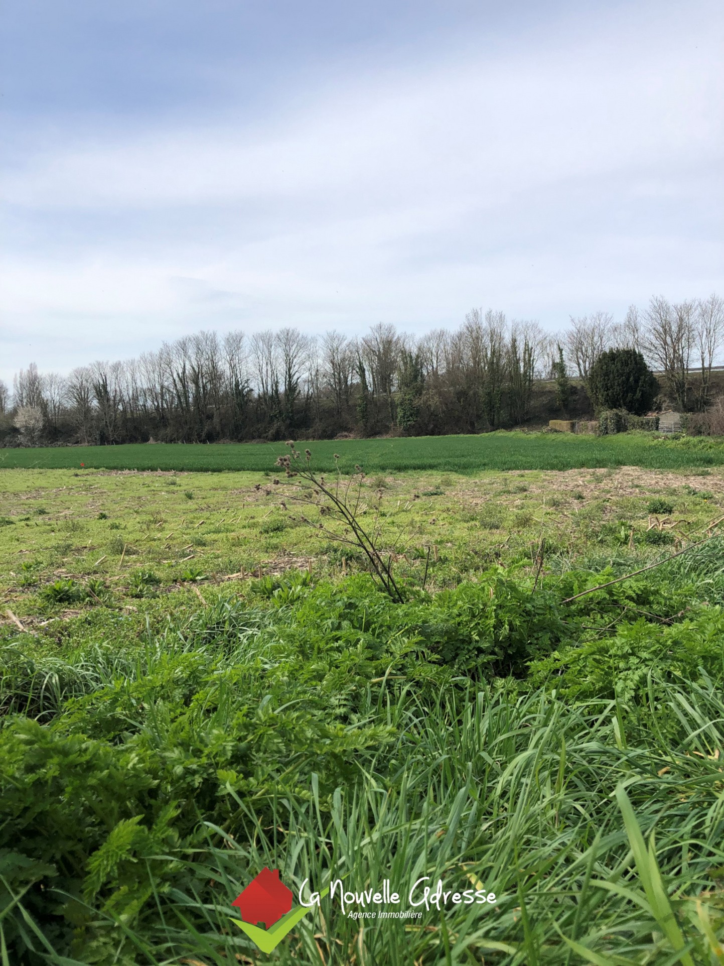 Vente Terrain à Frontenay-Rohan-Rohan 0 pièce