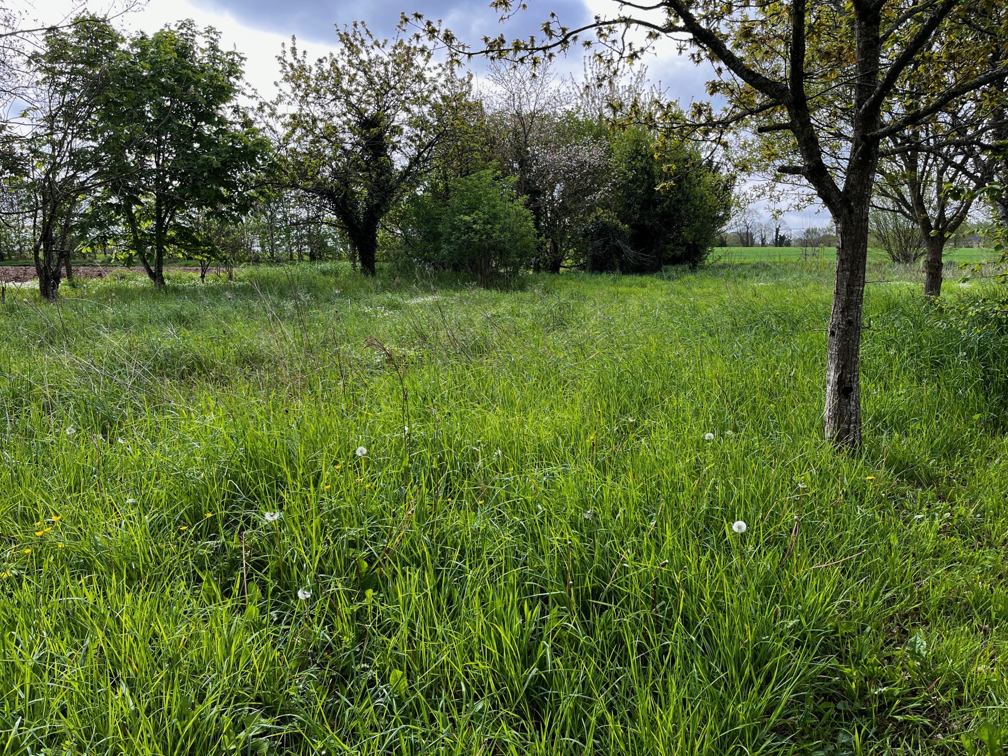 Vente Maison à Saint-Brice-en-Coglès 5 pièces