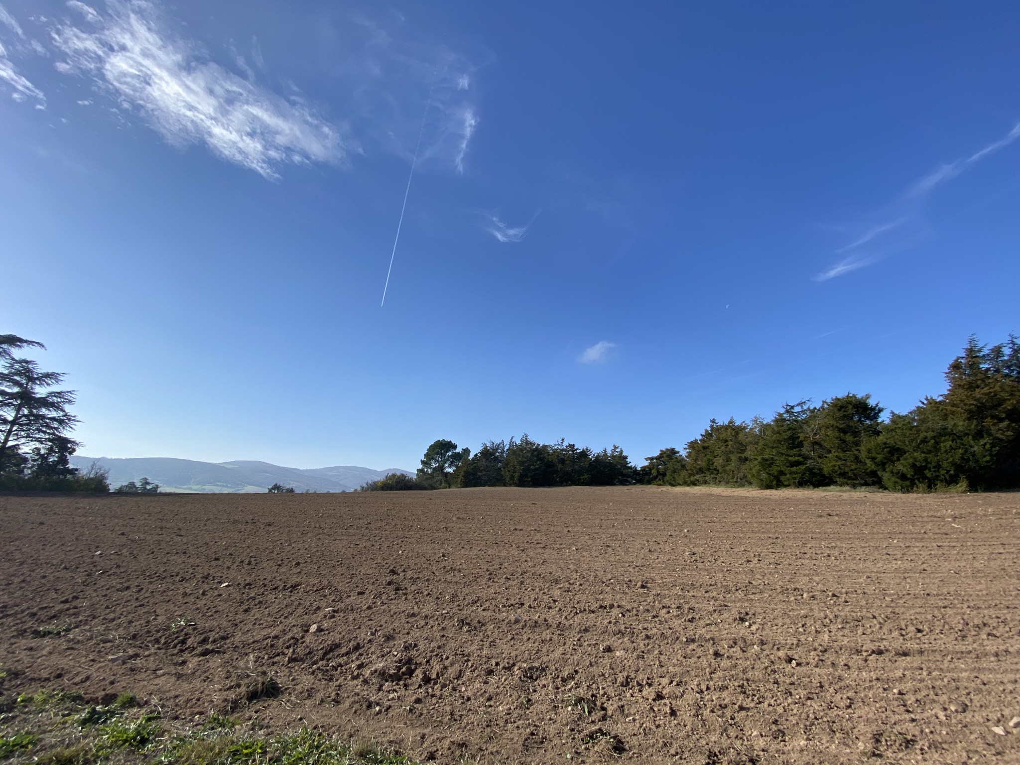 Vente Terrain à Craponne 0 pièce