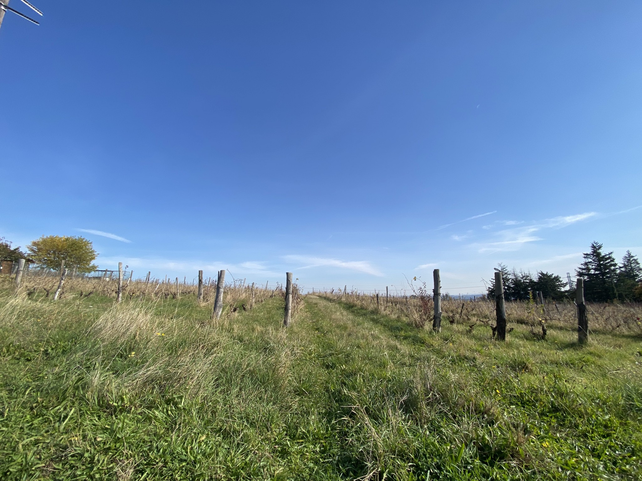 Vente Terrain à Craponne 0 pièce