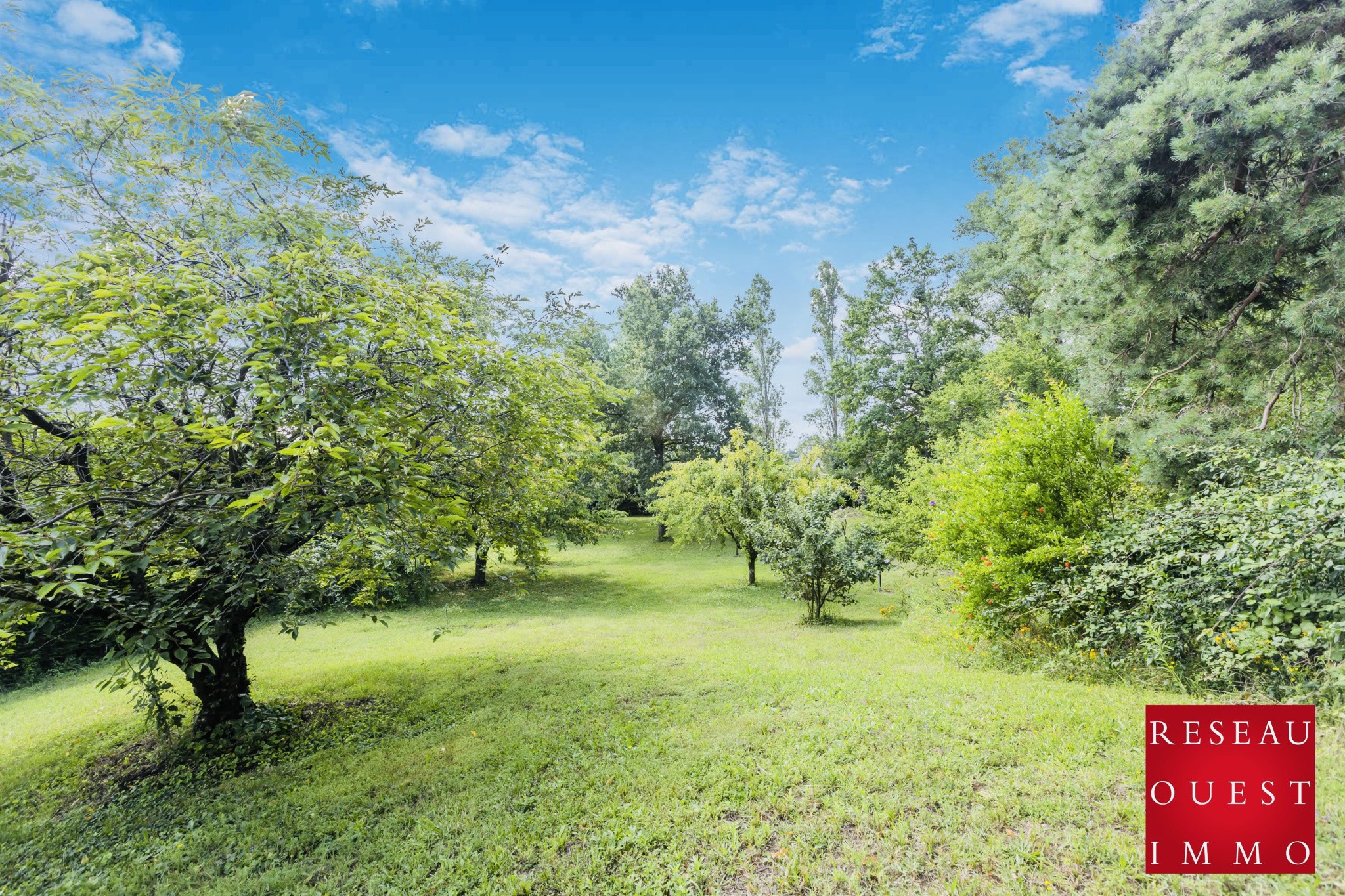 Vente Terrain à Francheville 0 pièce