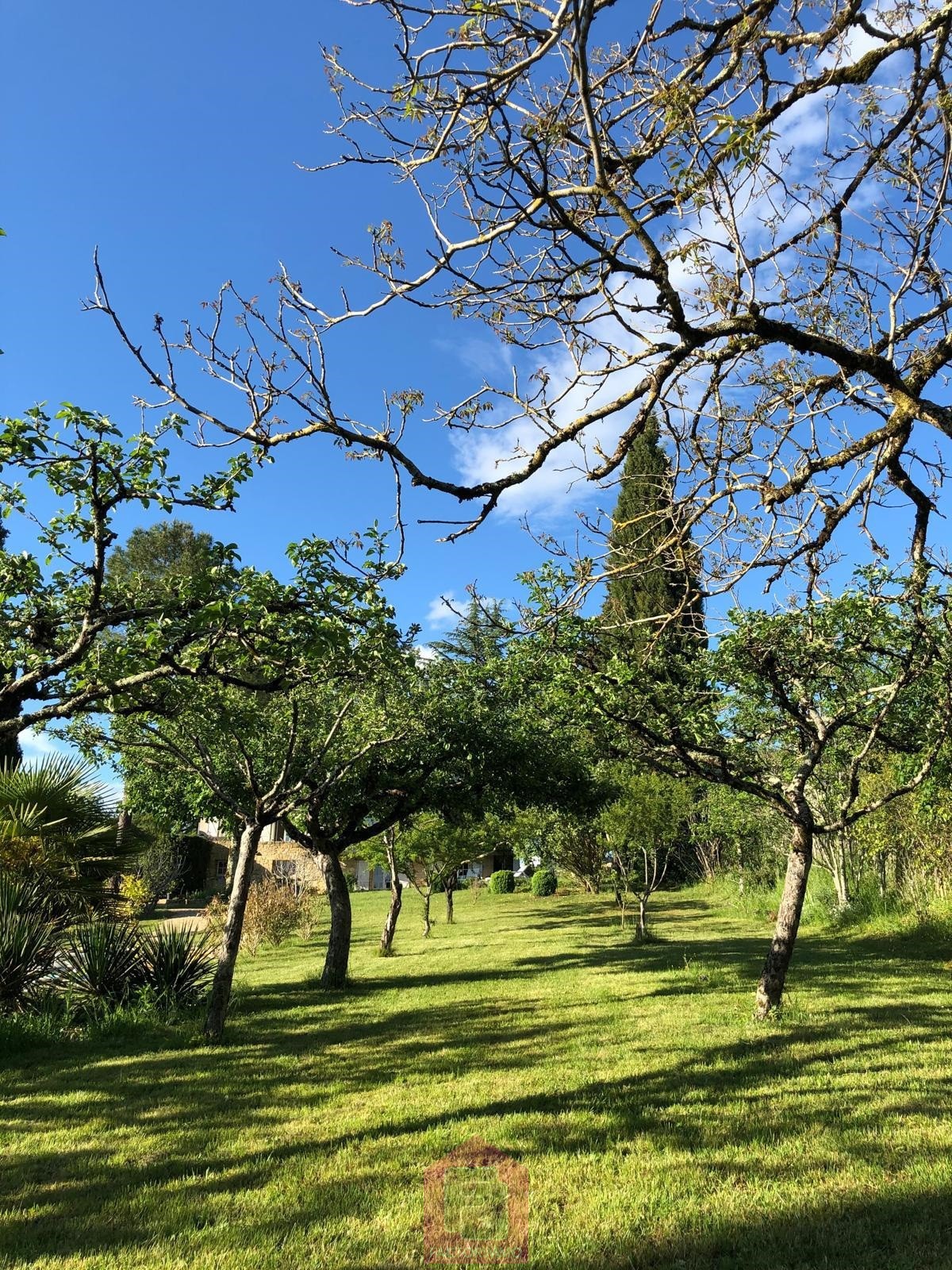 Vente Maison à Prayssac 10 pièces