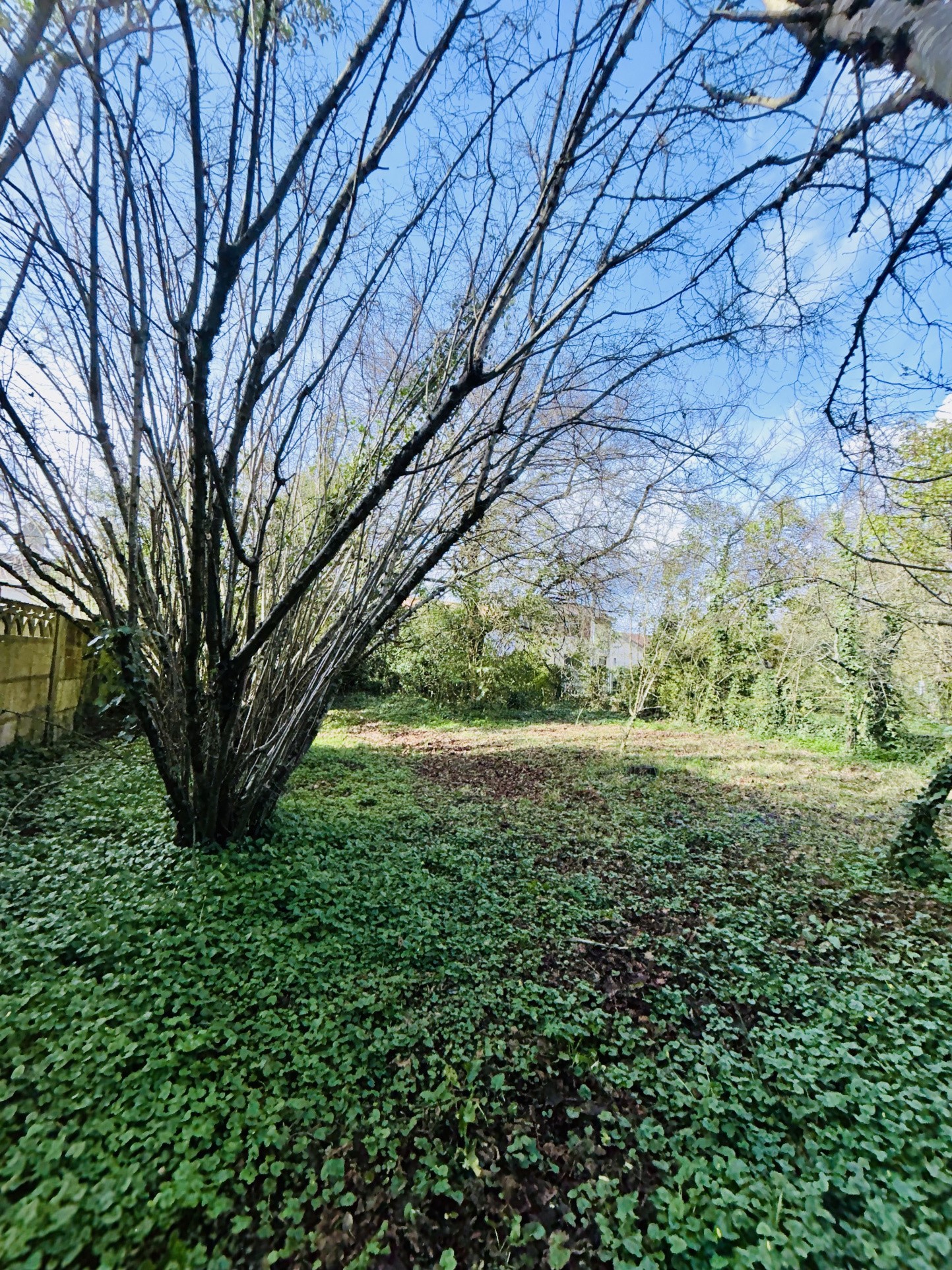 Vente Maison à Libourne 12 pièces