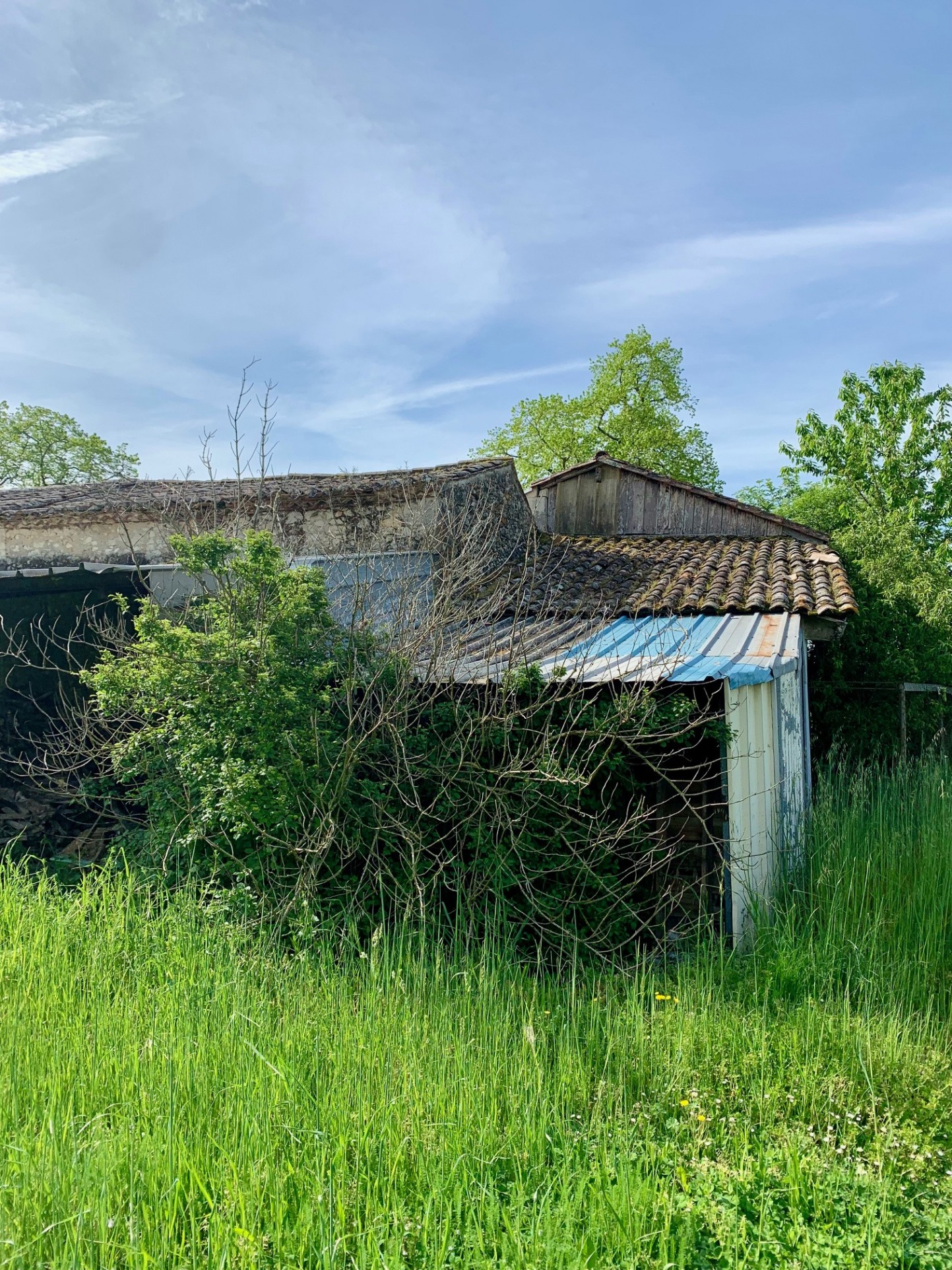 Vente Maison à Mouliets-et-Villemartin 5 pièces