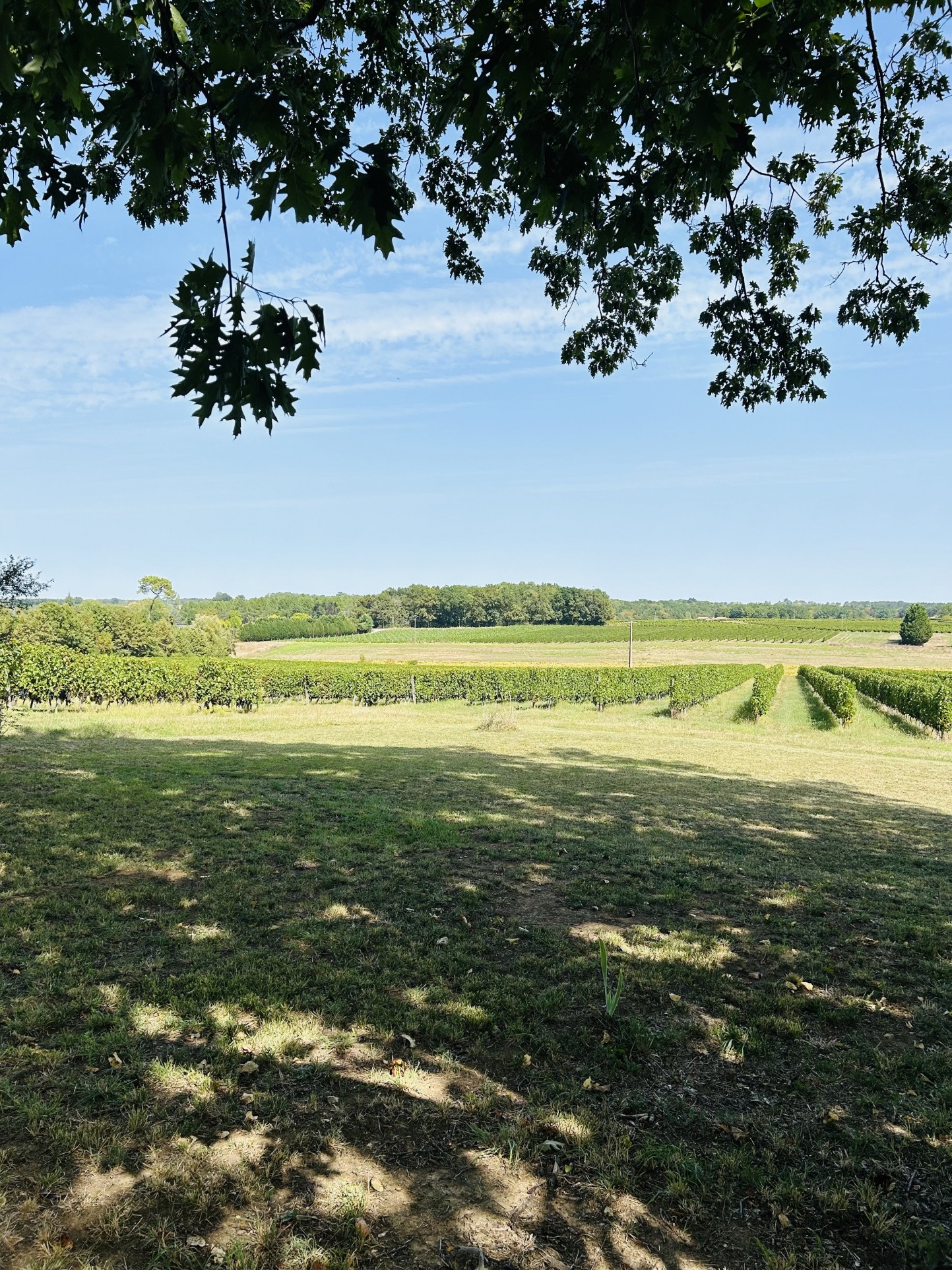 Vente Maison à Saint-Brice 10 pièces