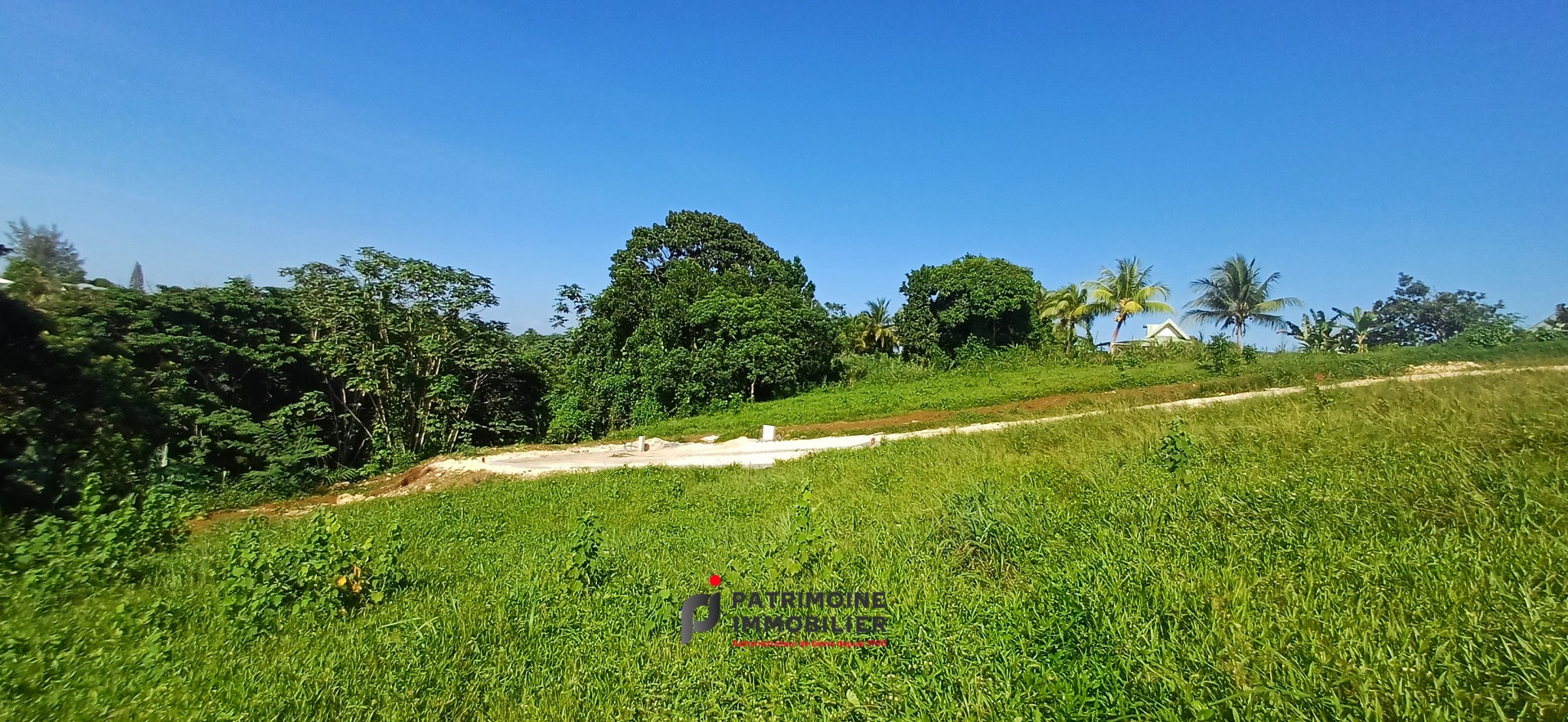 Vente Terrain à Petit-Bourg 0 pièce