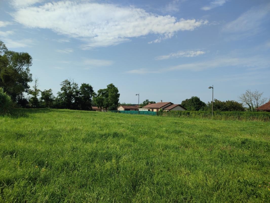 Vente Terrain à Saint-Trivier-de-Courtes 0 pièce