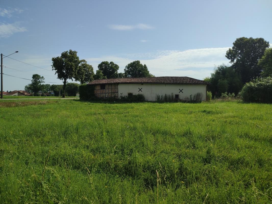 Vente Terrain à Saint-Trivier-de-Courtes 0 pièce