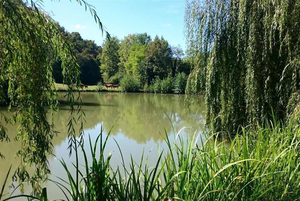 Vente Maison à Saint-Girons 35 pièces