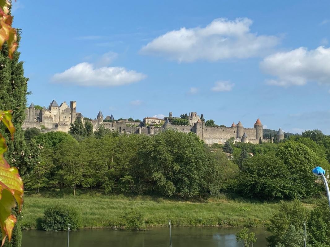 Vente Maison à Carcassonne 16 pièces