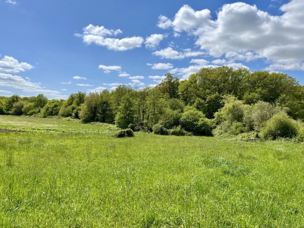 Vente Maison à Genouillé 14 pièces