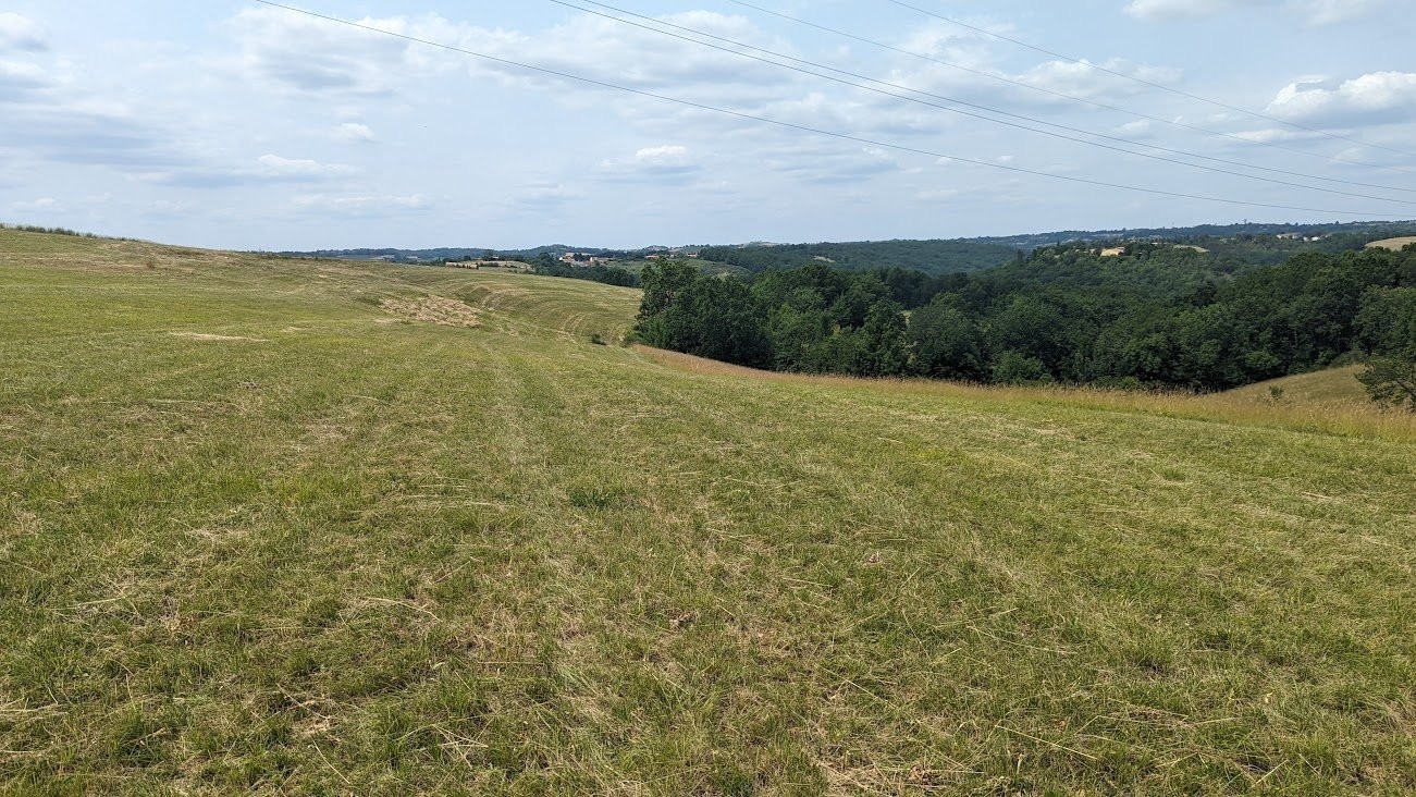 Vente Terrain à Albi 0 pièce