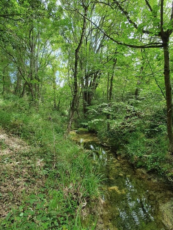 Vente Maison à Limoux 8 pièces