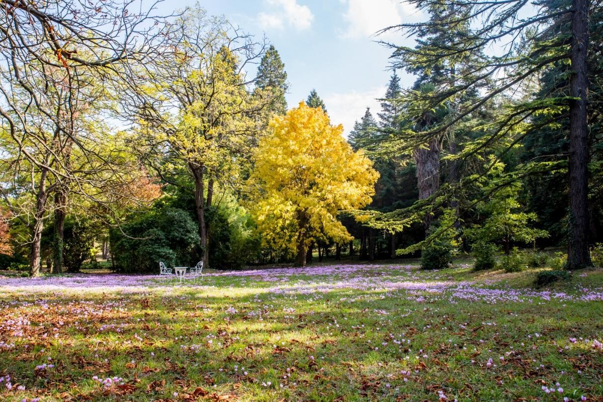 Vente Maison à Carcassonne 21 pièces