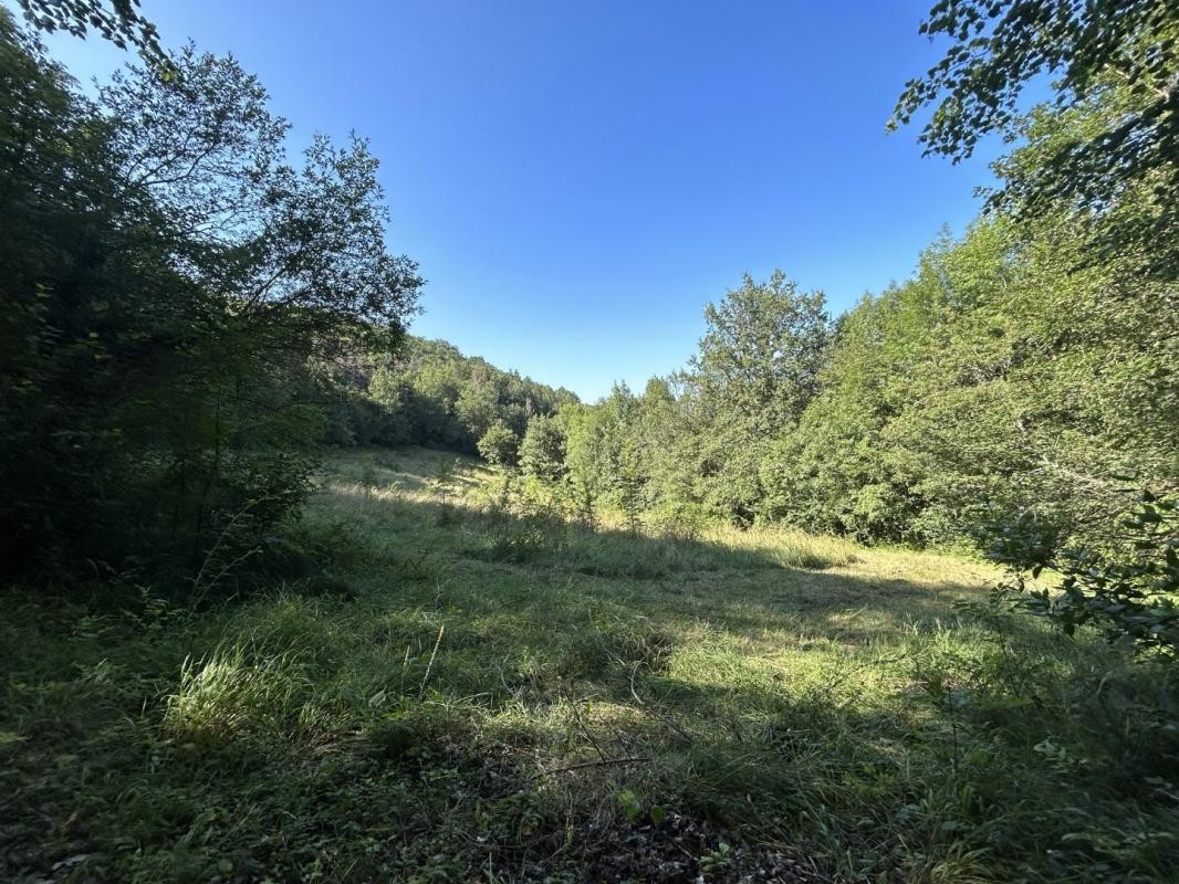 Vente Maison à Limoux 12 pièces